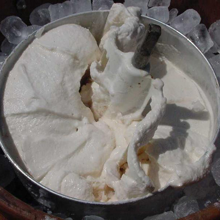 Sumptuous Cinnamon Ice Cream